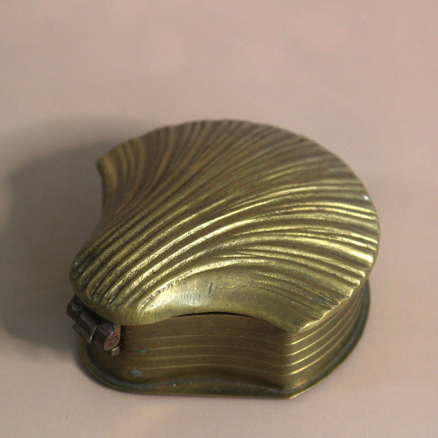 Brass Shell Jewelry Box